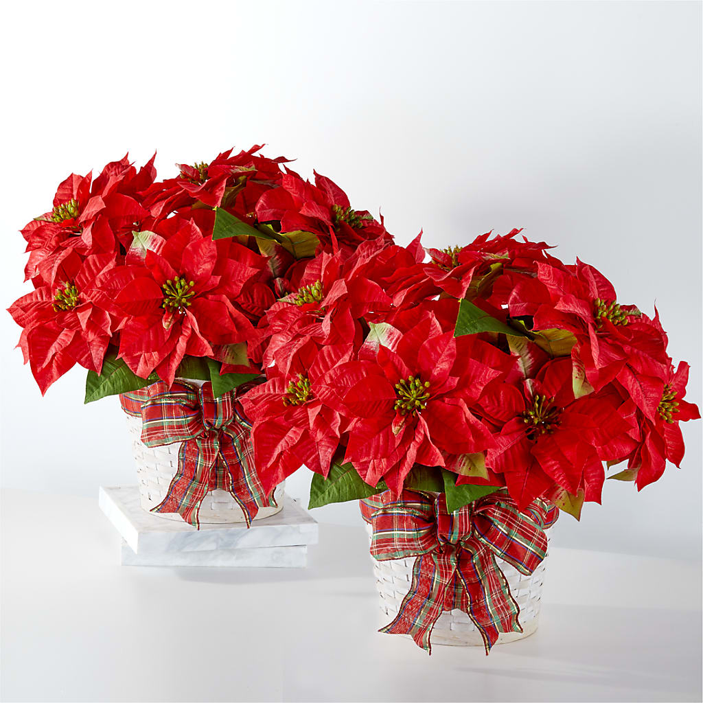 Happiest Holidays Poinsettia Bundle – Floral Delights Etc, Daleville AL