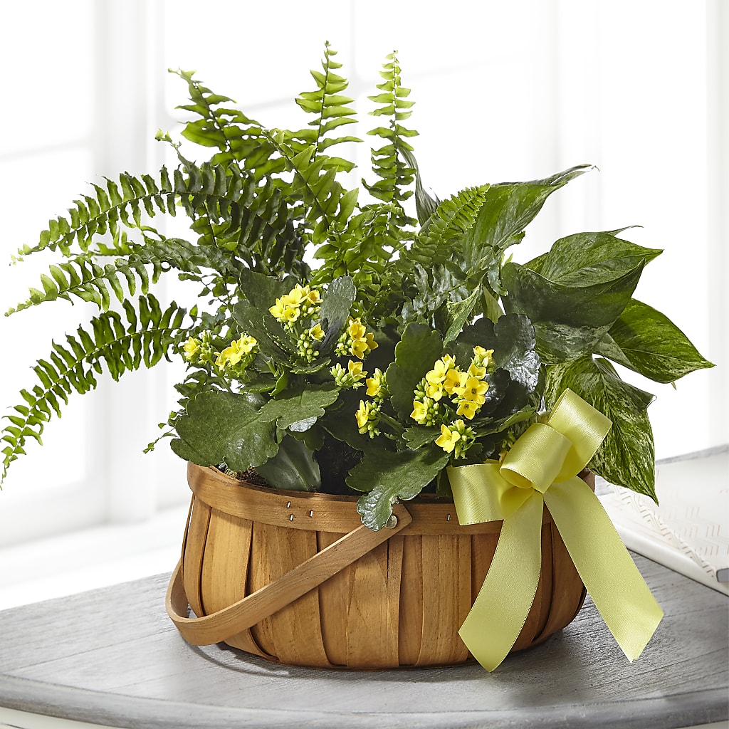 Always Dear Dishgarden – Floral Delights Etc, Daleville AL