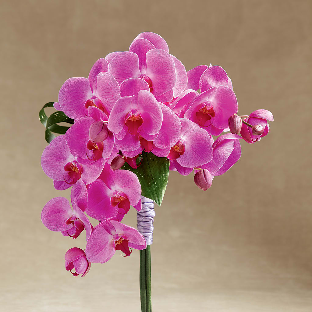 Glorious Bouquet – Floral Delights Etc, Daleville AL