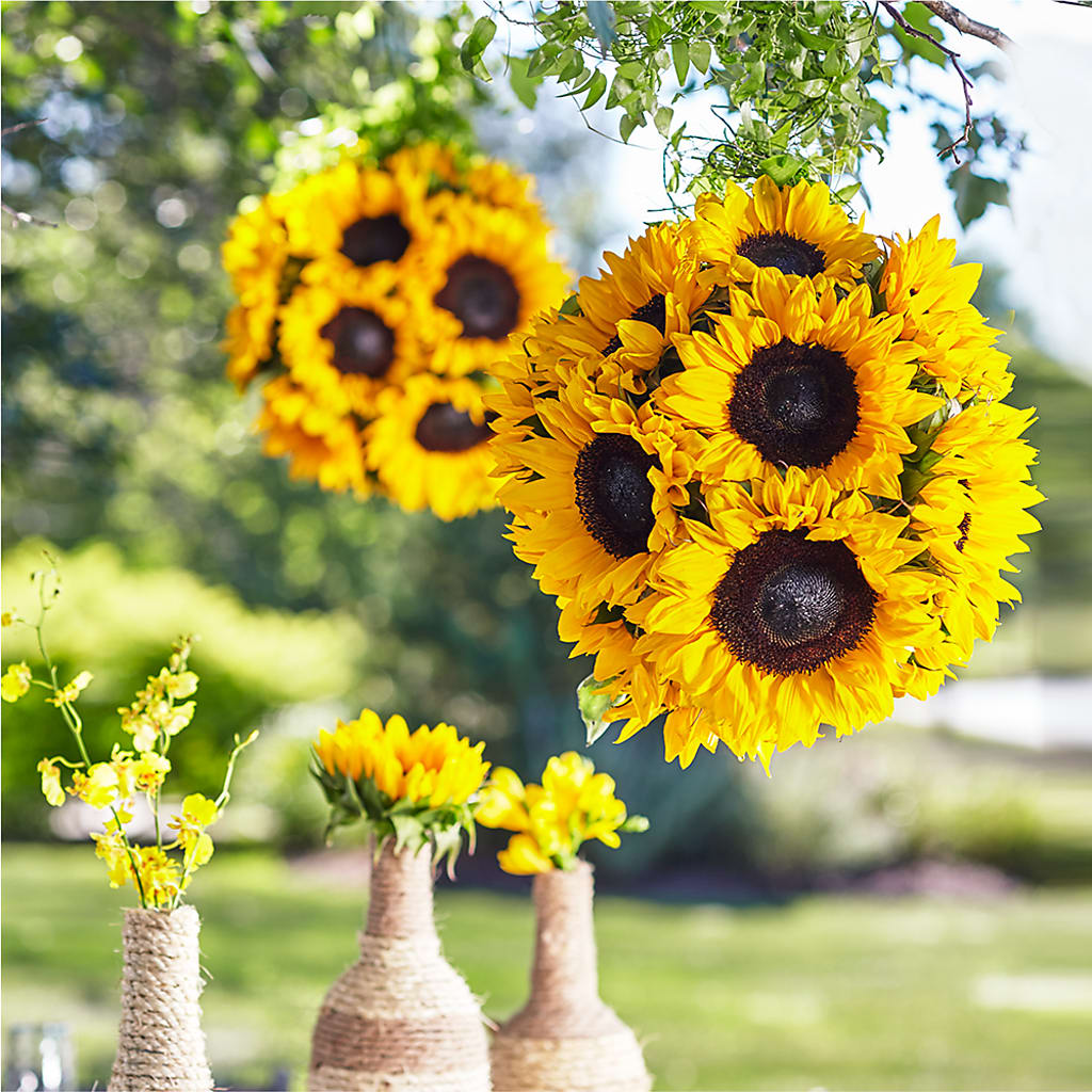 Sublime Garden Hanging Arrangement – Floral Delights Etc, Daleville AL