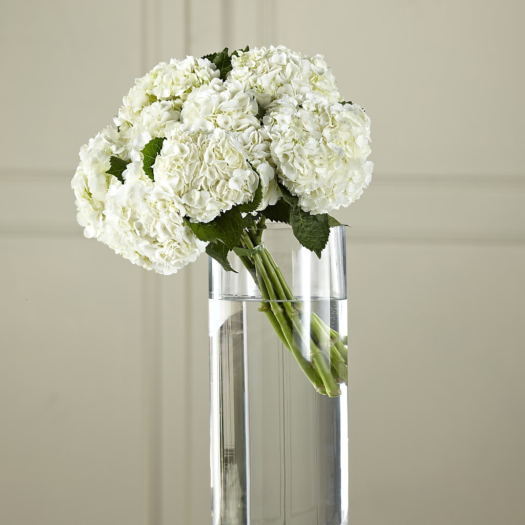 White Hydrangea Hand-Tied Bouquet – Floral Delights Etc, Daleville AL