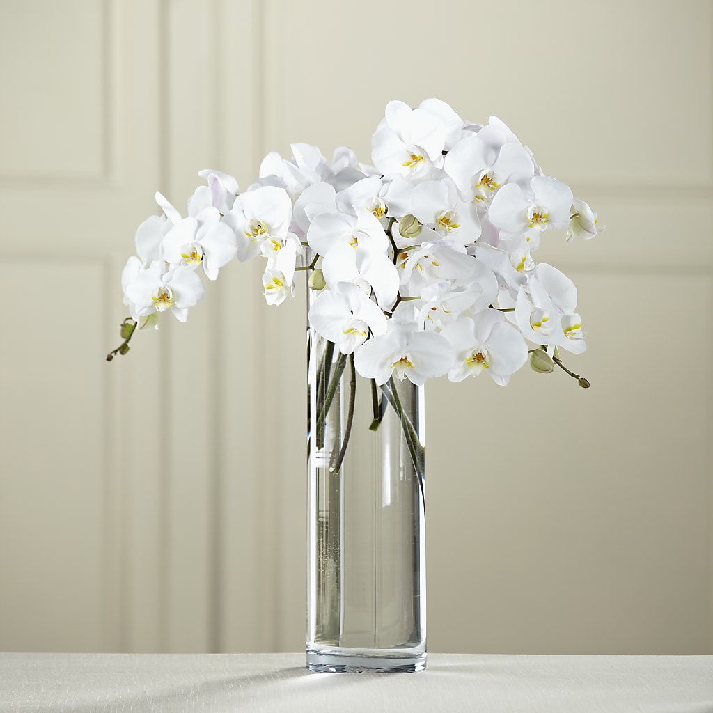 White Phalaenopsis Bouquet – Floral Delights Etc, Daleville AL