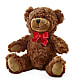 Adorable Plush Bear –  Floral Delights Etc, Daleville AL