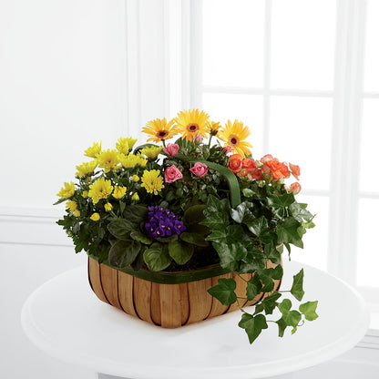 Gentle Blossoms Basket –  Floral Delights Etc, Daleville AL