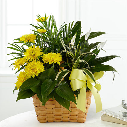 Loving Light Dishgarden –  Floral Delights Etc, Daleville AL