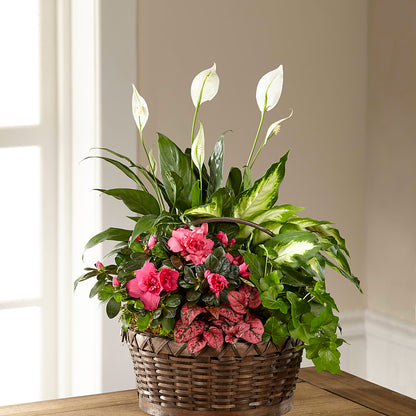 Dream in Pink Dishgarden –  Floral Delights Etc, Daleville AL