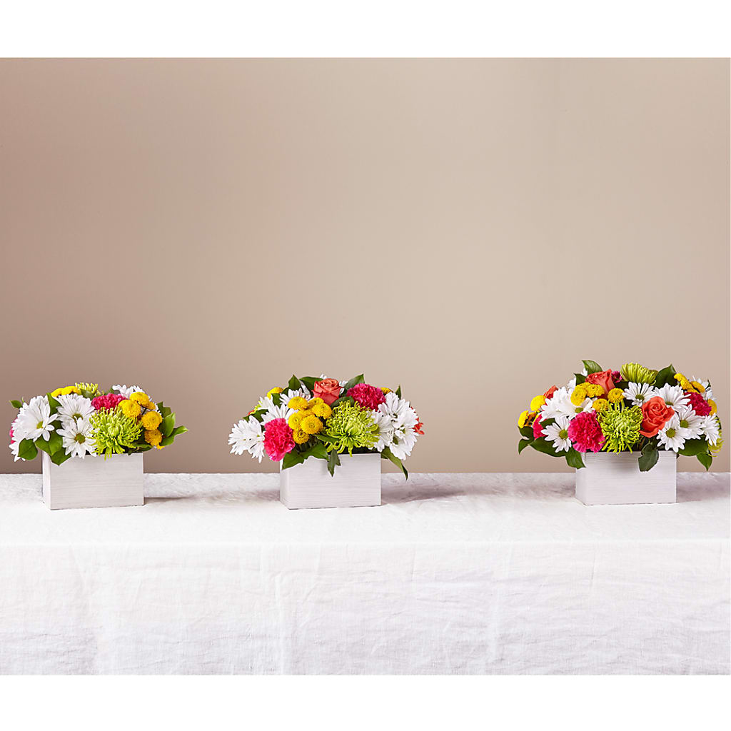 Sorbet Bouquet –  Floral Delights Etc, Daleville AL