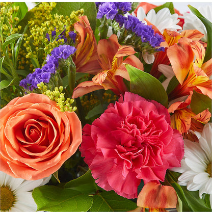 Oopsie Daisy Box Bouquet –  Floral Delights Etc, Daleville AL