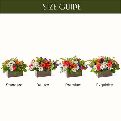 Oopsie Daisy Box Bouquet –  Floral Delights Etc, Daleville AL