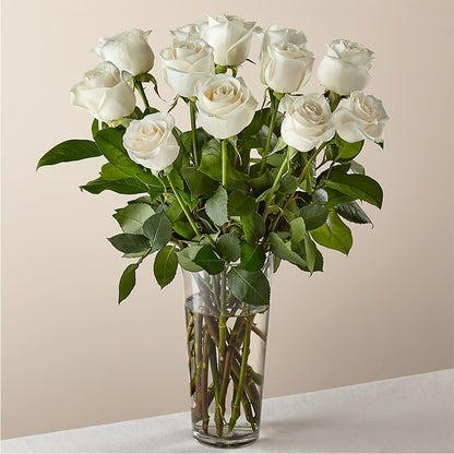 Long Stem White Rose Bouquet –  Floral Delights Etc, Daleville AL