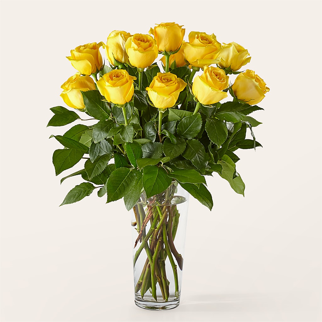 Long Stem Yellow Rose Bouquet –  Floral Delights Etc, Daleville AL