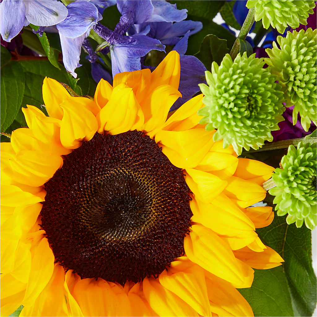 Catching Rays Bouquet –  Floral Delights Etc, Daleville AL