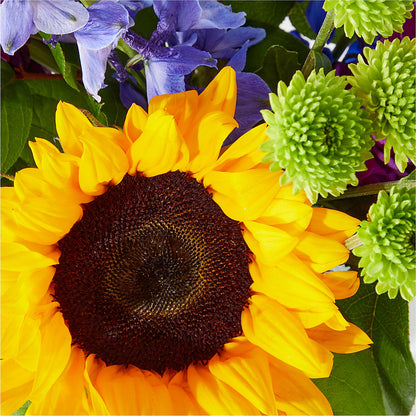 Catching Rays Bouquet –  Floral Delights Etc, Daleville AL