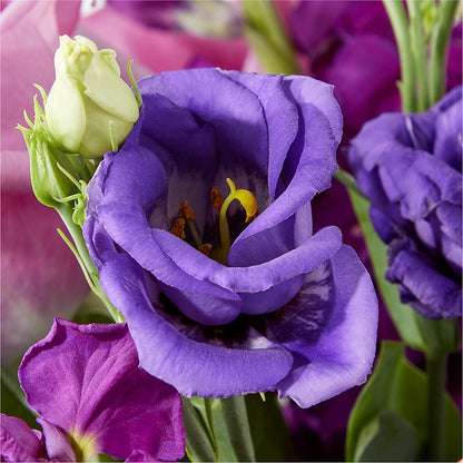 Twilight Glow Bouquet –  Floral Delights Etc, Daleville AL