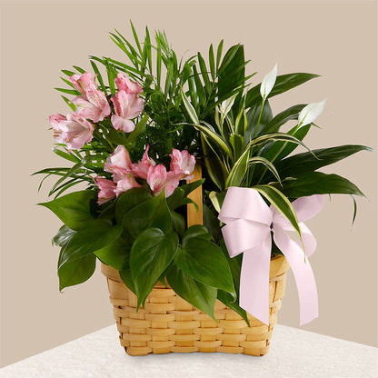 Living Spirit Dishgarden –  Floral Delights Etc, Daleville AL