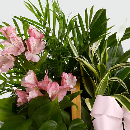 Living Spirit Dishgarden –  Floral Delights Etc, Daleville AL