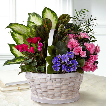 Peaceful Garden Planter –  Floral Delights Etc, Daleville AL
