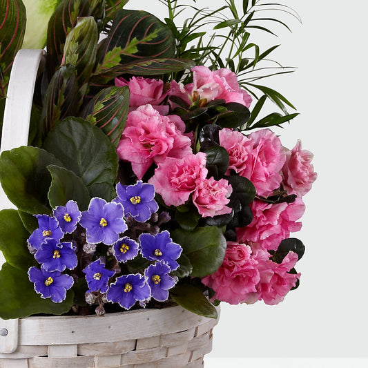 Peaceful Garden Planter –  Floral Delights Etc, Daleville AL