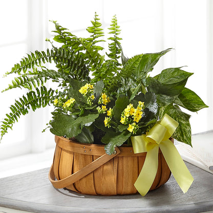Always Dear Dishgarden –  Floral Delights Etc, Daleville AL