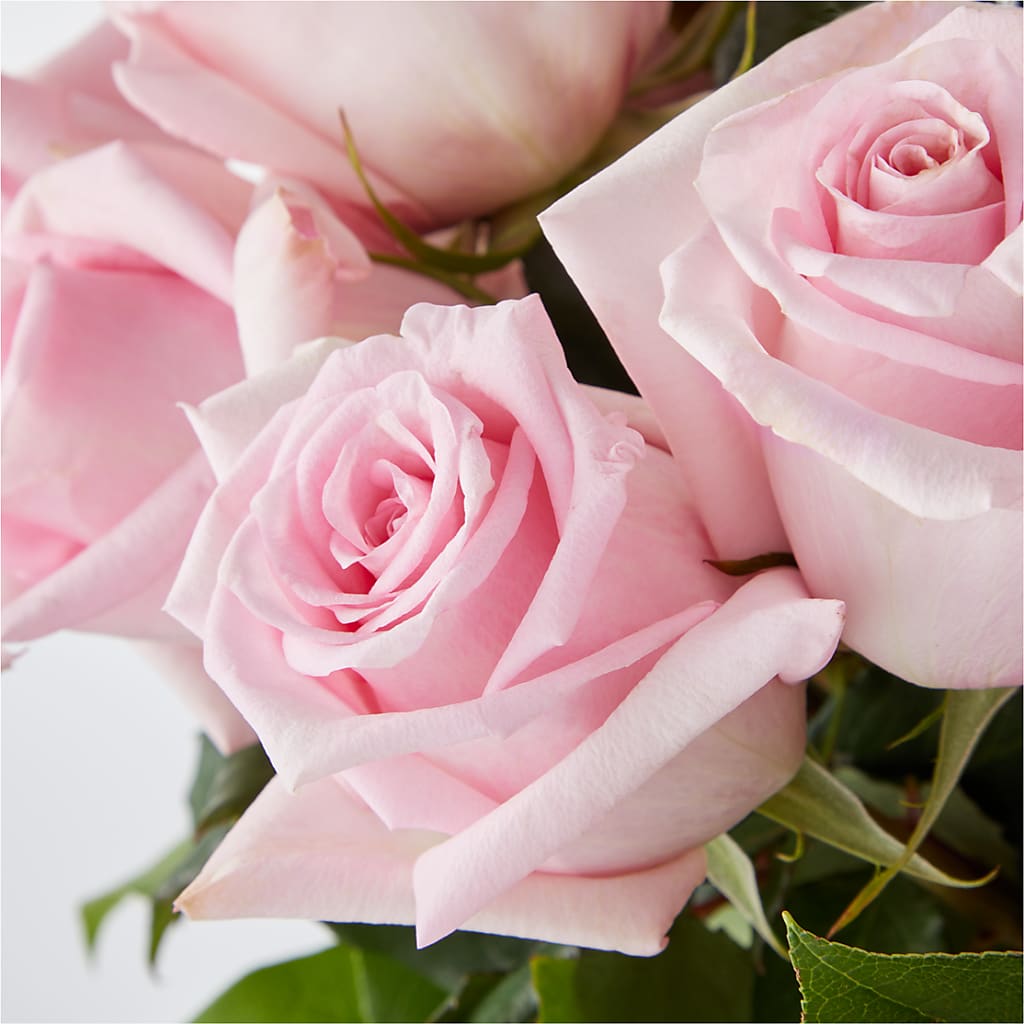 Picture Perfect Pink Rose Bouquet –  Floral Delights Etc, Daleville AL