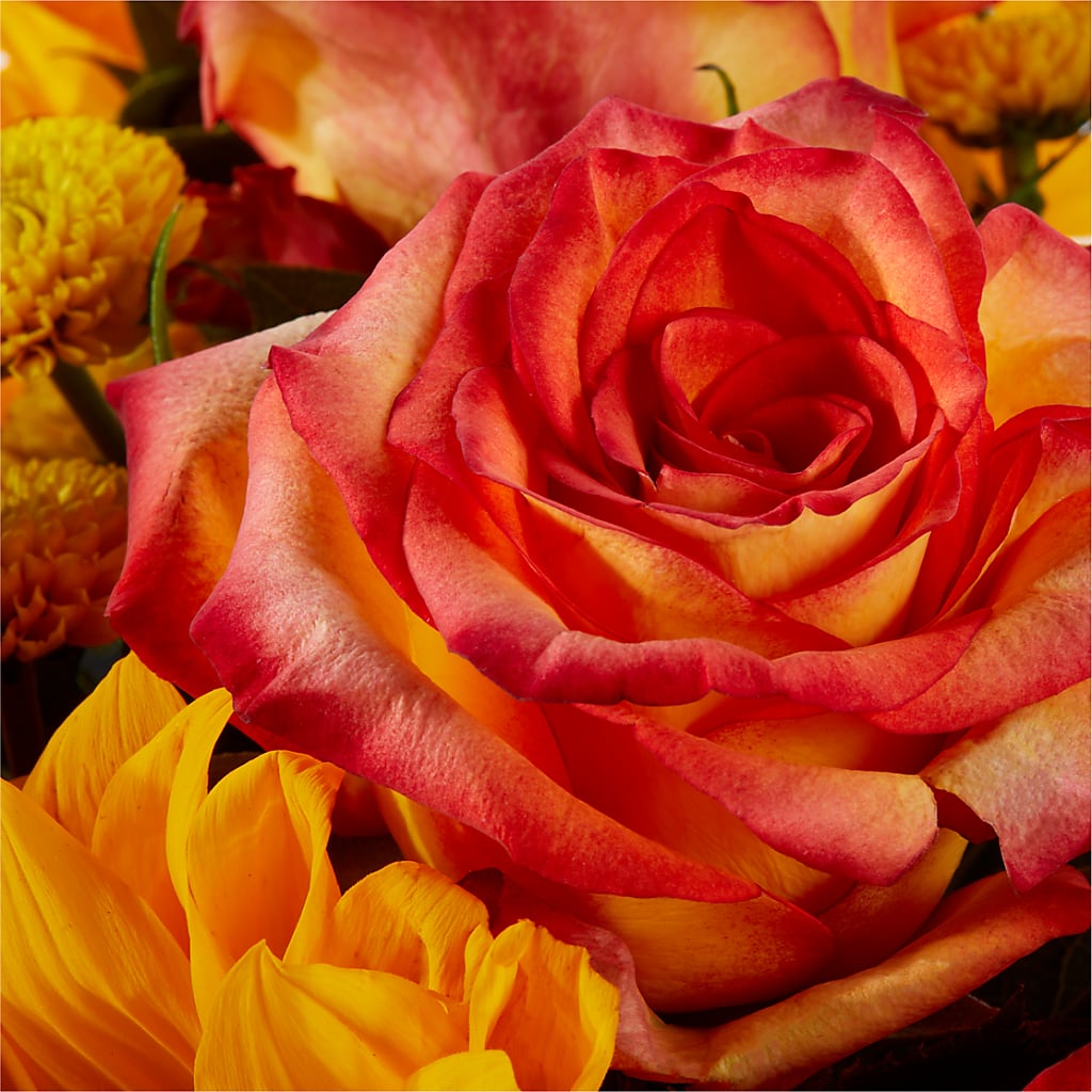 Picnic in the Park Bouquet –  Floral Delights Etc, Daleville AL
