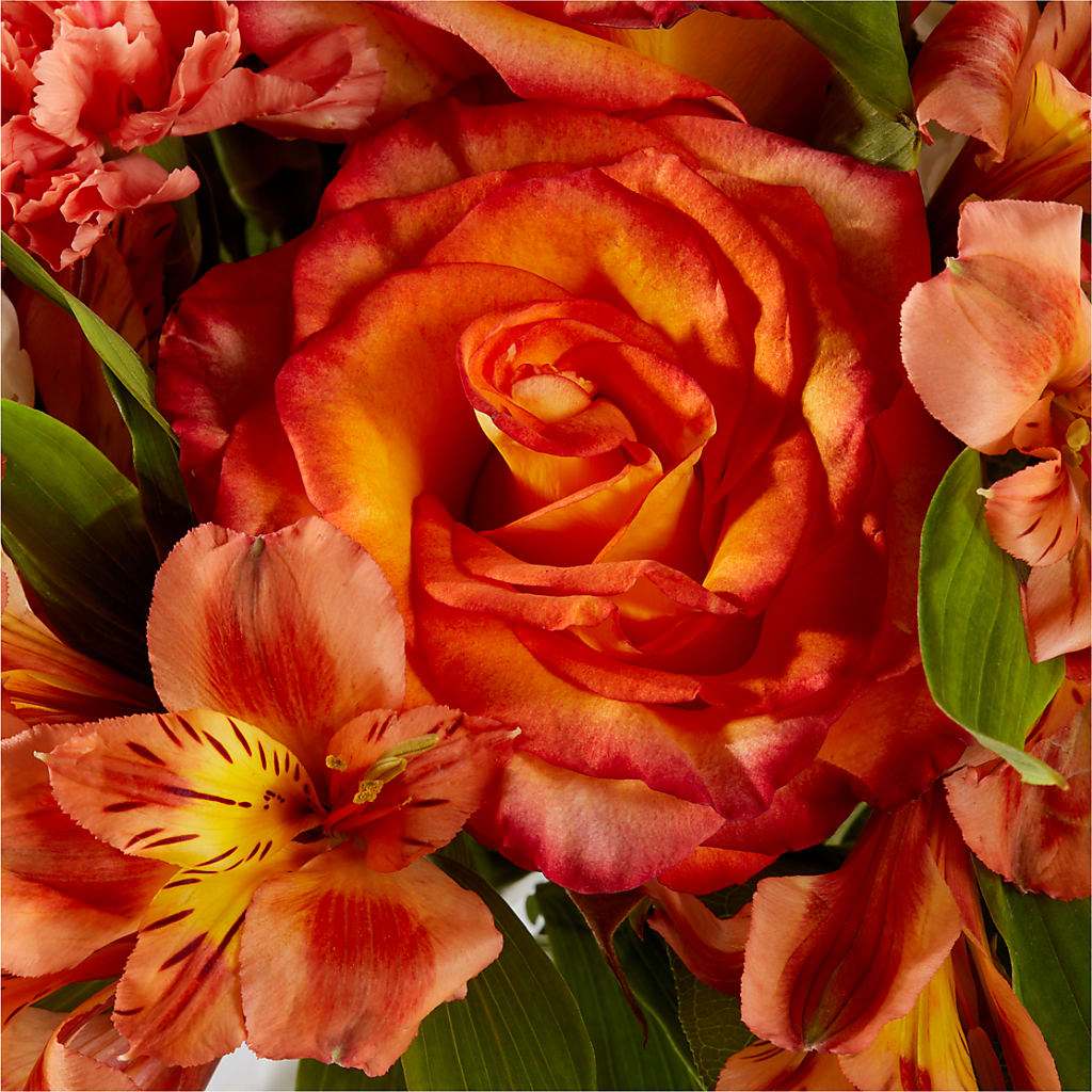 Apricot Glow Bouquet –  Floral Delights Etc, Daleville AL