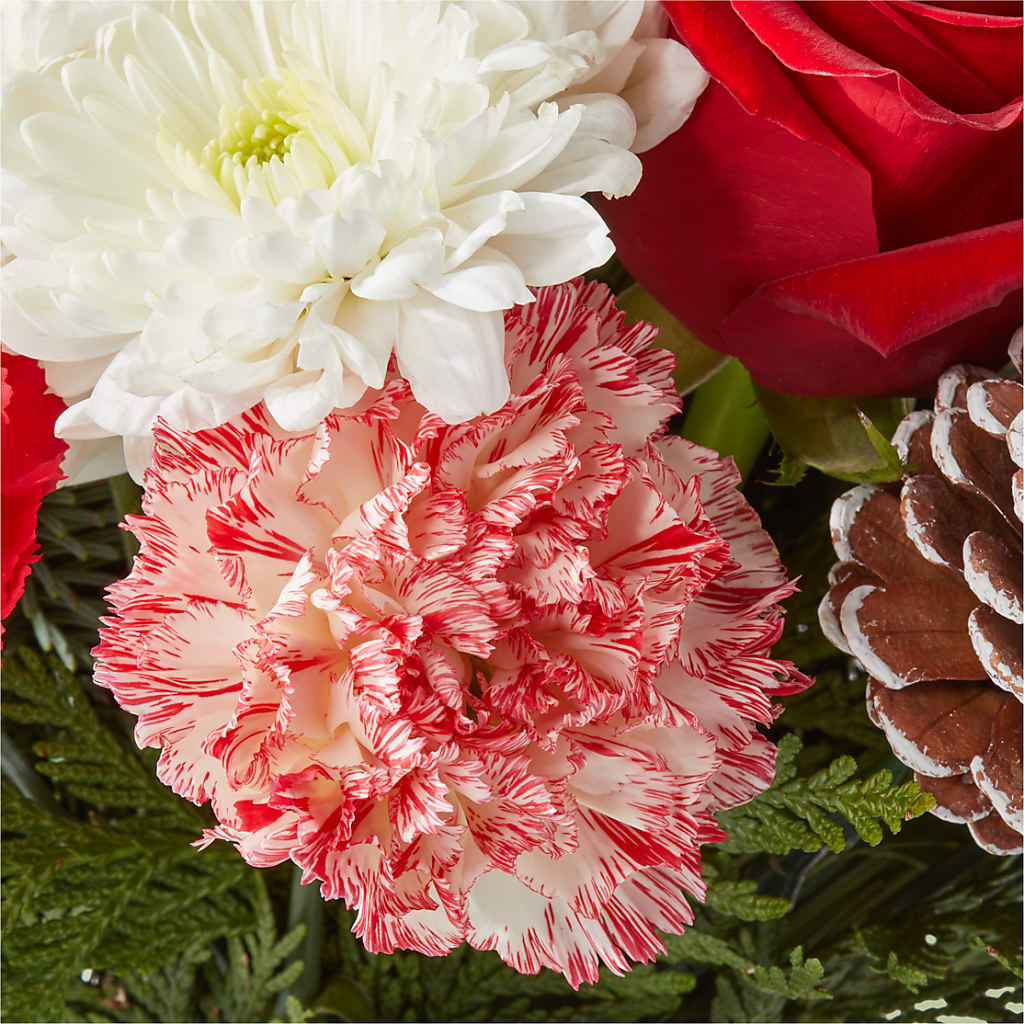 Candy Cane Lane Bouquet –  Floral Delights Etc, Daleville AL