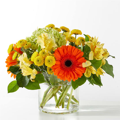 Autumn Sunshine Bouquet –  Floral Delights Etc, Daleville AL