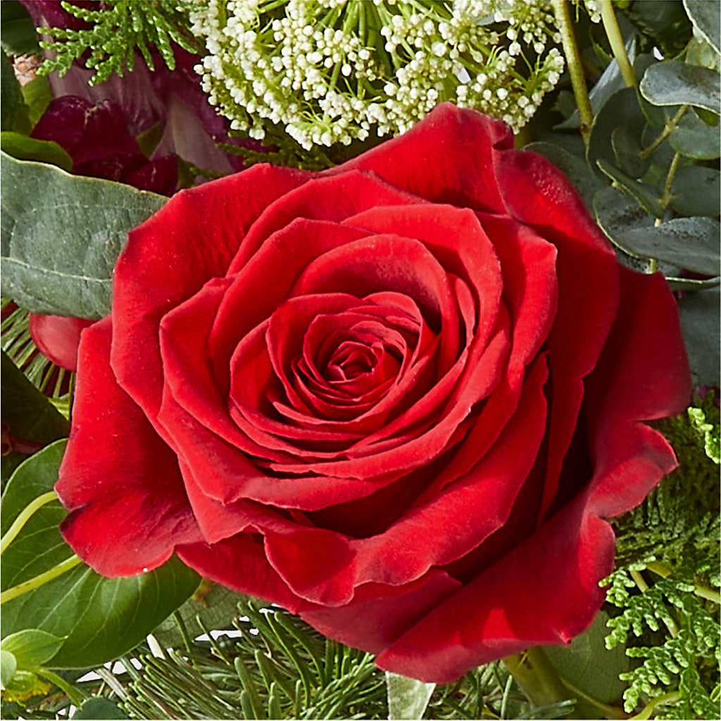 Cranberry Fizz Bouquet –  Floral Delights Etc, Daleville AL
