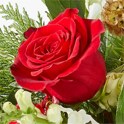 Deck the Halls Bouquet –  Floral Delights Etc, Daleville AL
