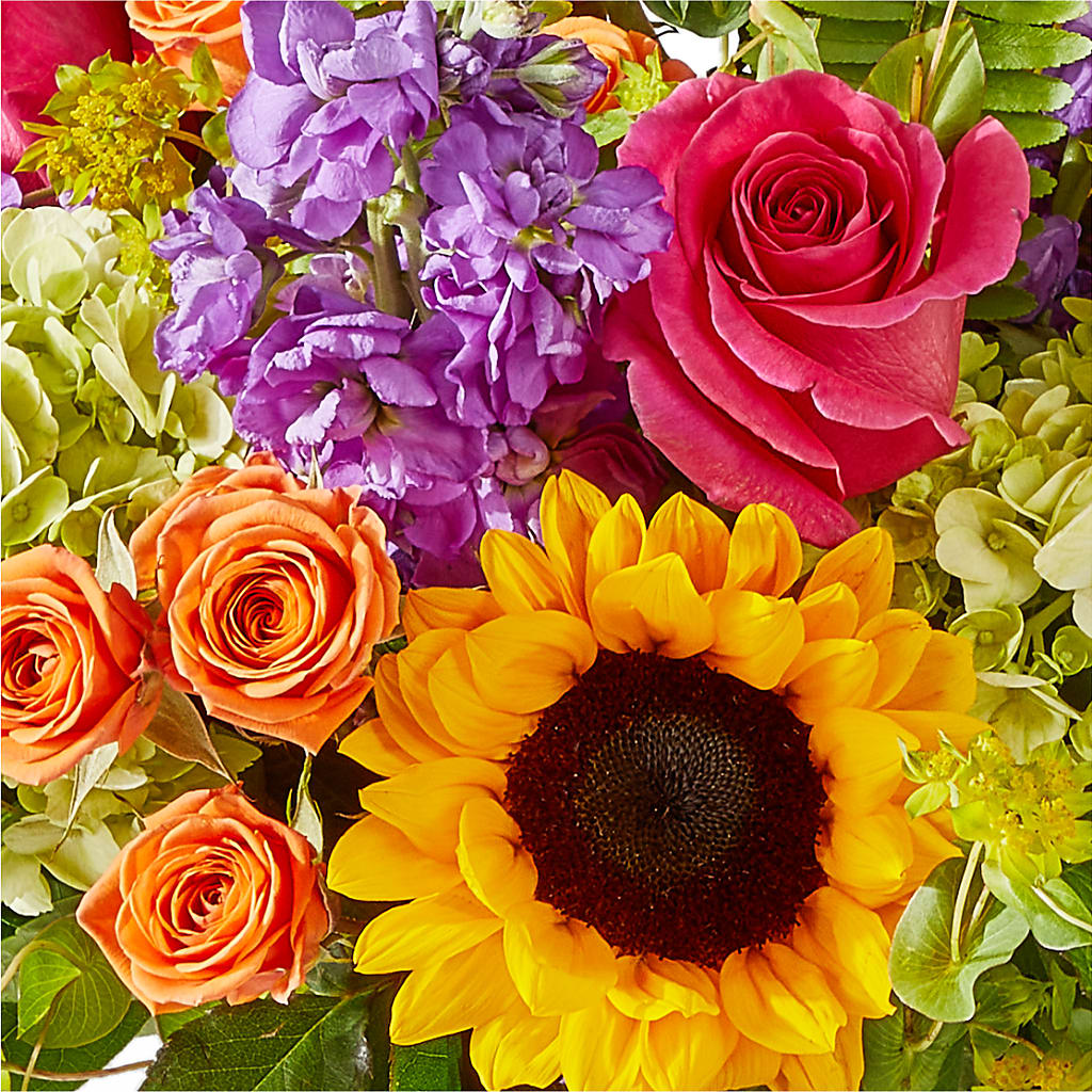 Vibrant Greetings Bouquet –  Floral Delights Etc, Daleville AL