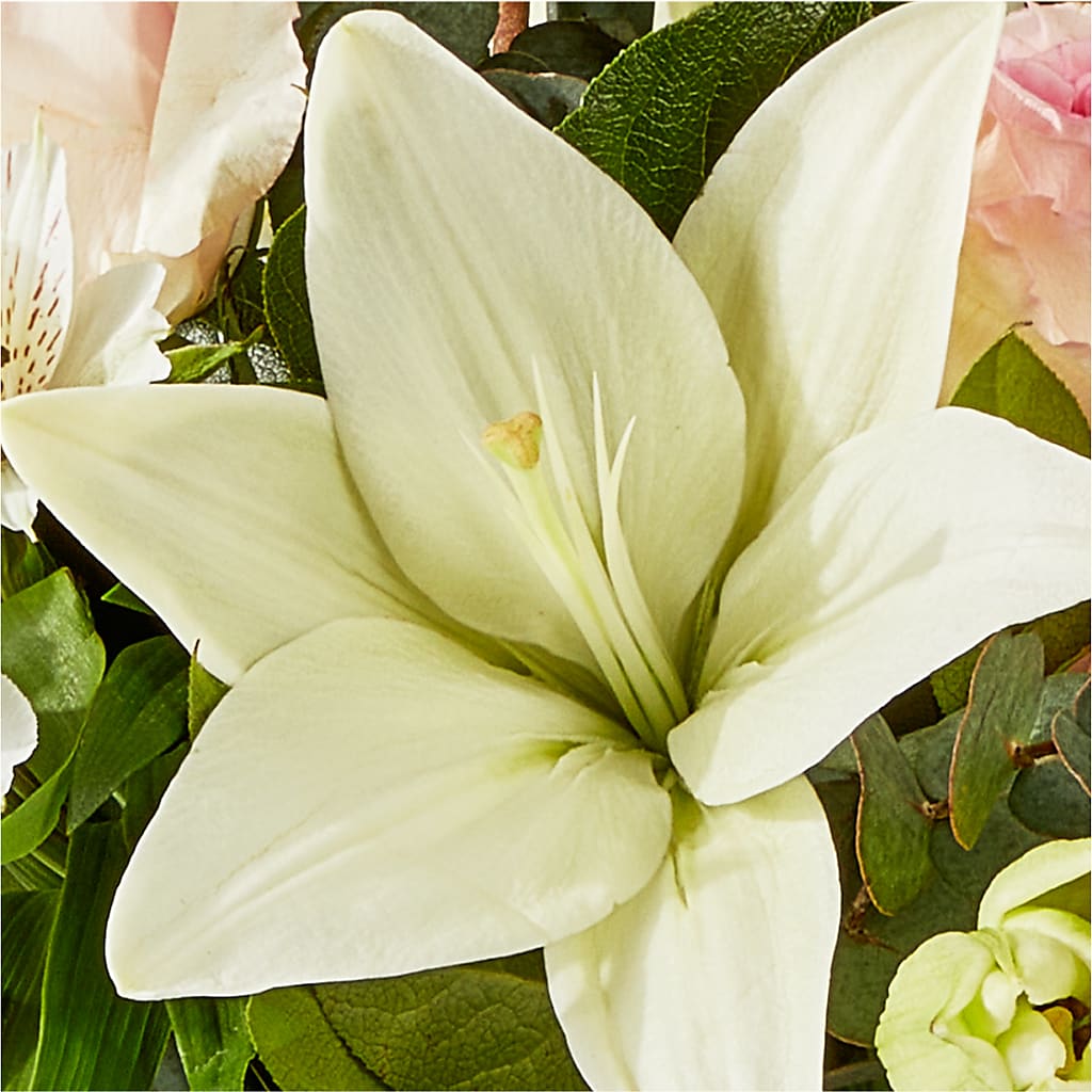 Ballet Slippers Bouquet –  Floral Delights Etc, Daleville AL