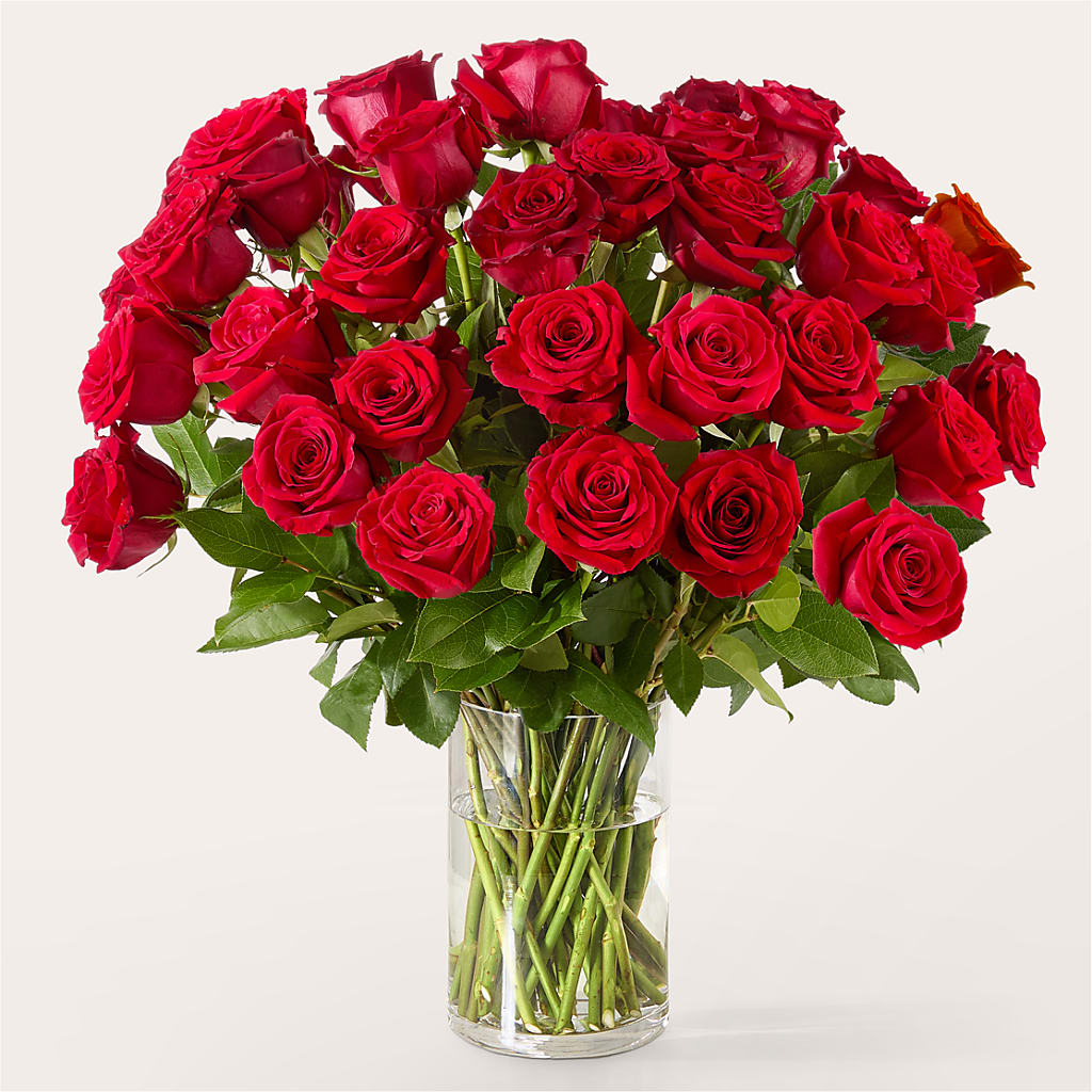 The One Red Rose Bouquet –  Floral Delights Etc, Daleville AL