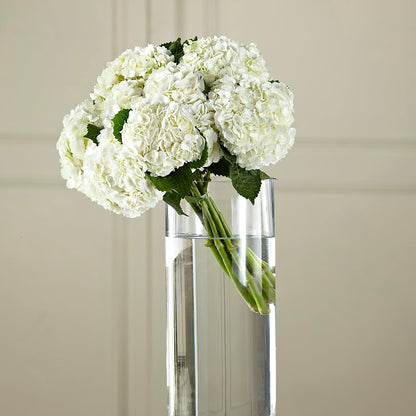 White Hydrangea Hand-Tied Bouquet –  Floral Delights Etc, Daleville AL