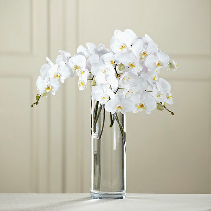 White Phalaenopsis Bouquet –  Floral Delights Etc, Daleville AL